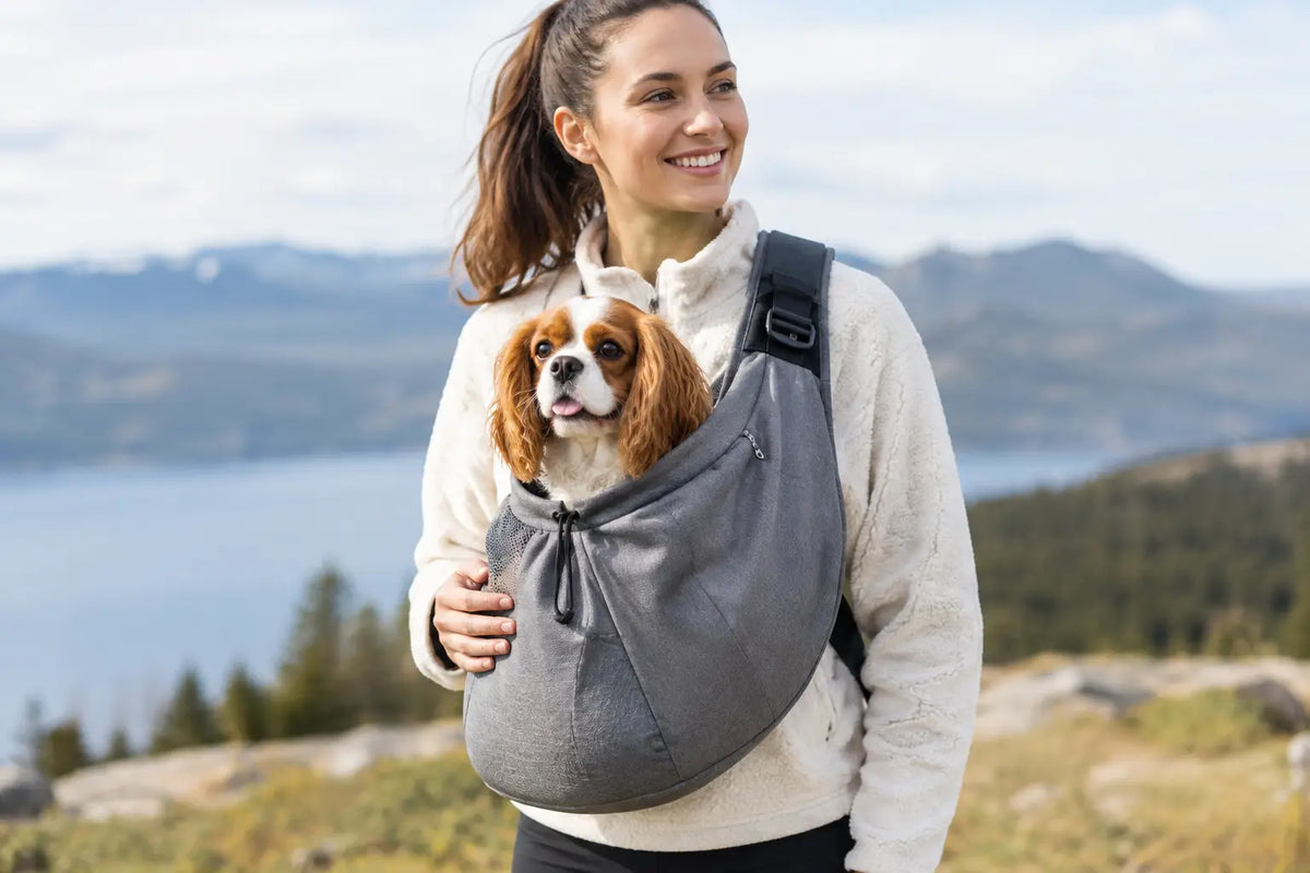 How to Use a Dog Sling Safely and Comfortably