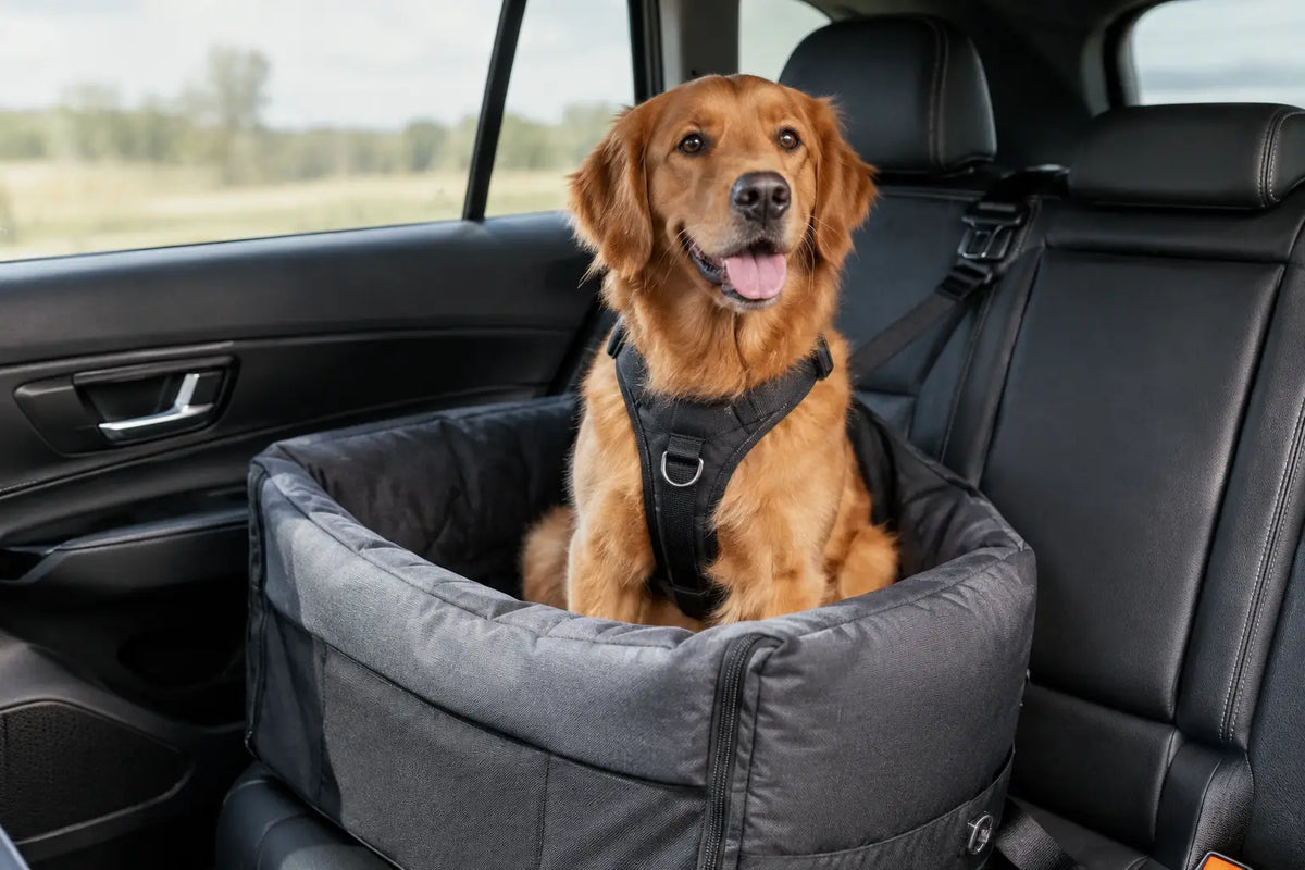 UK Pet Seat Regulations for Safer Car Journeys