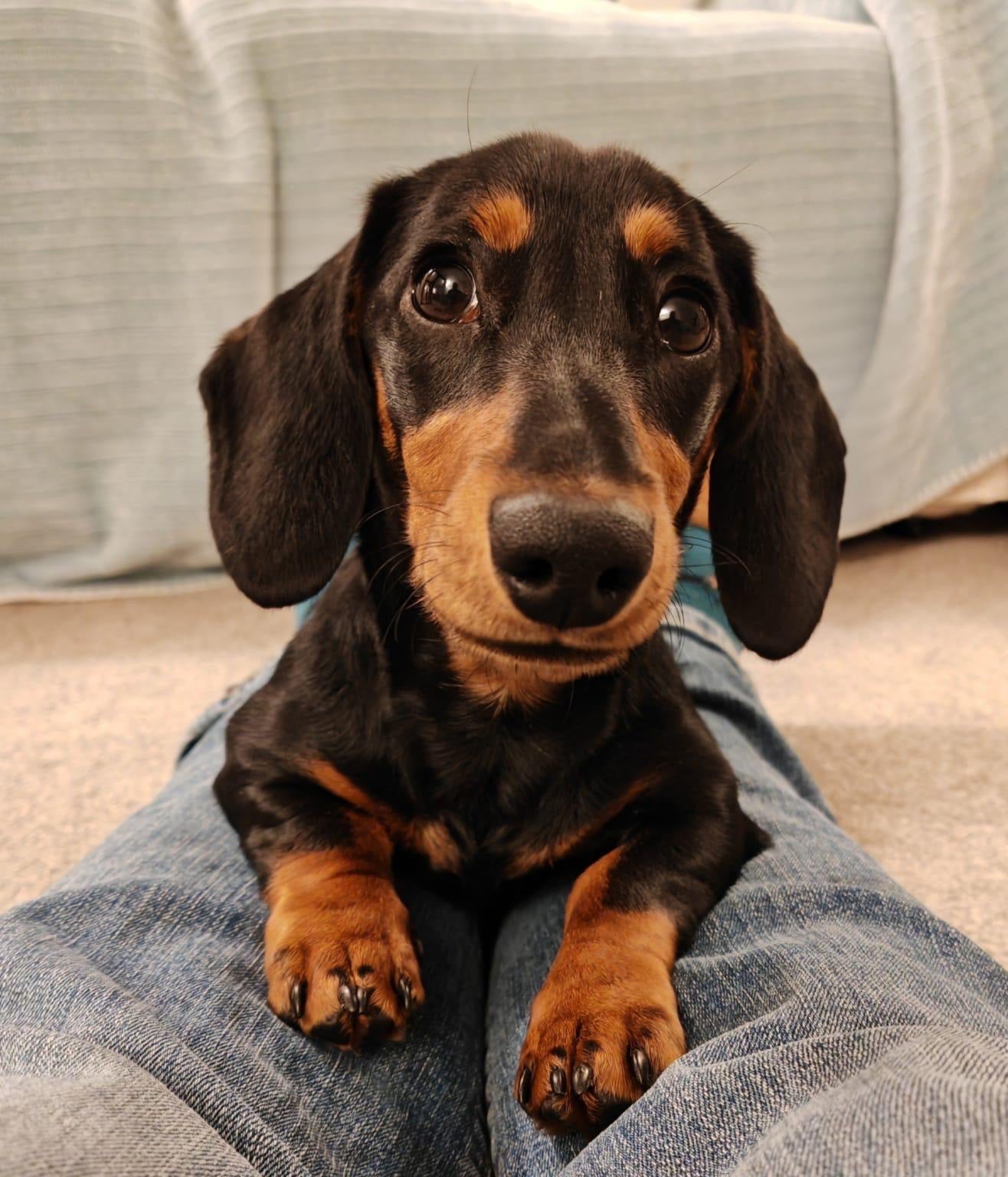 Charity Partnership: Suloti