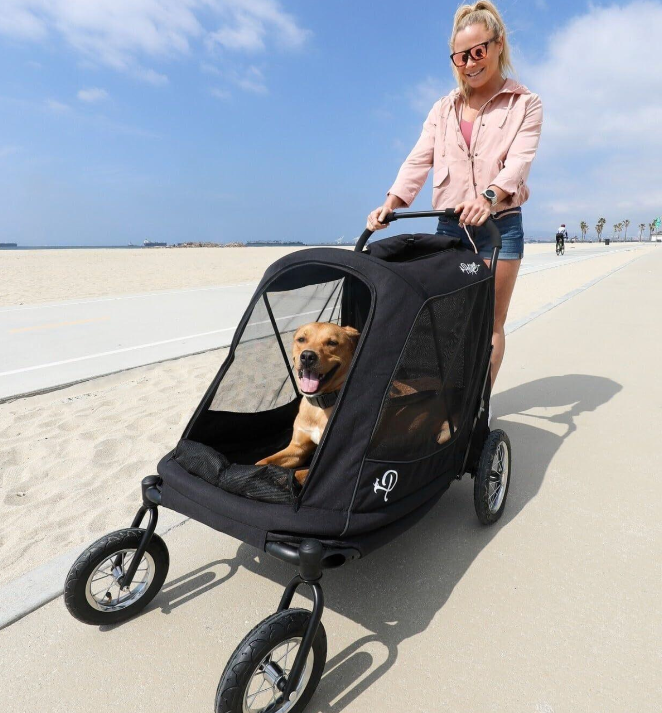 Best in Show: The Ultimate Pet Stroller Guide for 2026