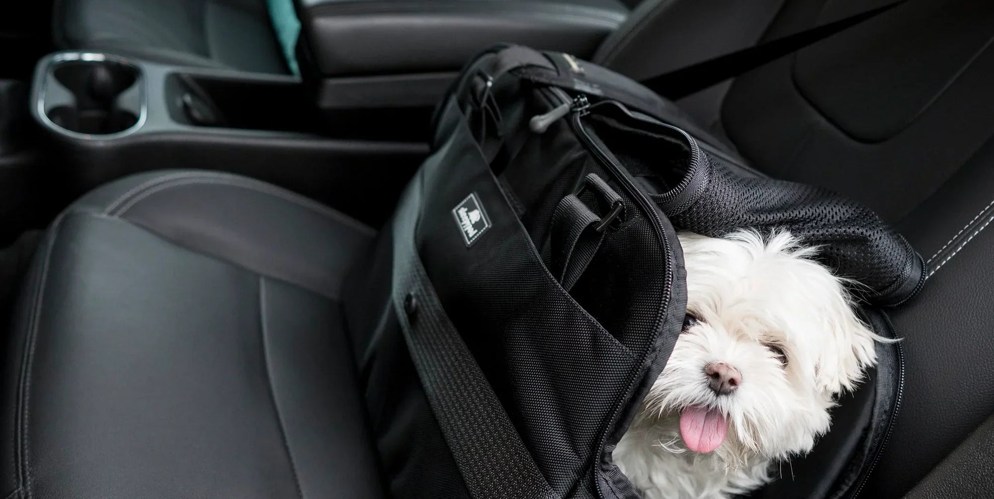 Best Dog Car Seats UK: Safety Guide And Top Picks