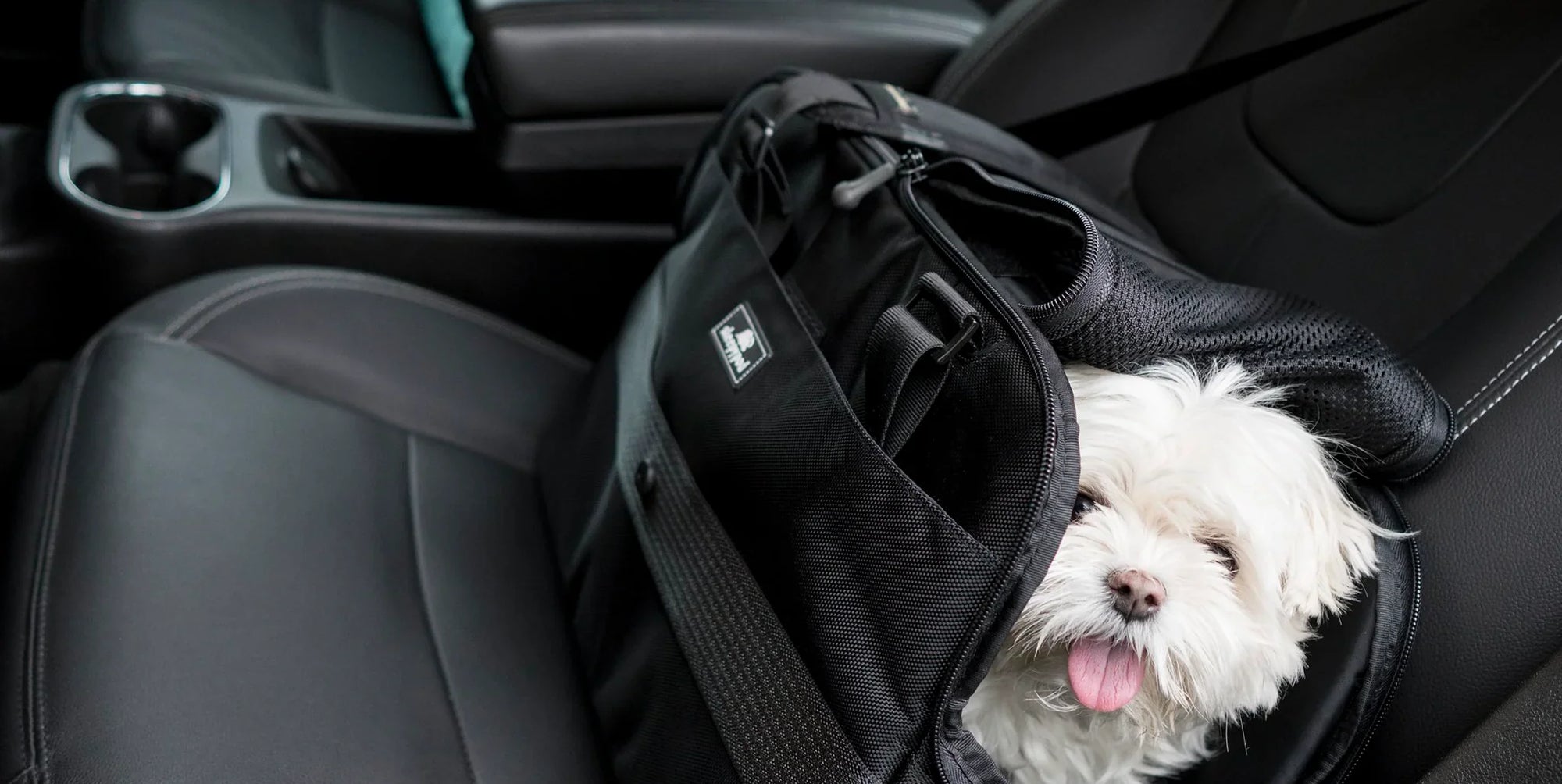 Best Dog Car Seats UK: Safety Guide And Top Picks