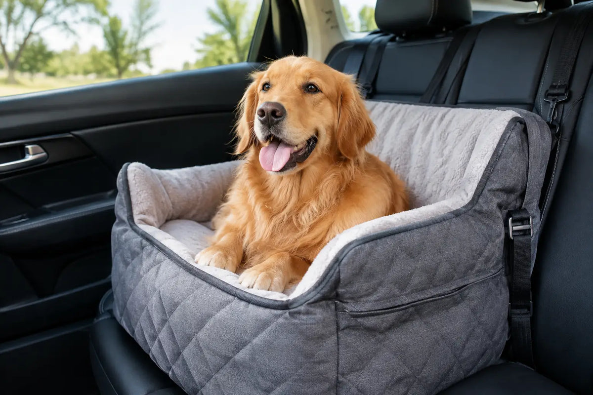Best Washable Dog Car Seats for Cleaner Journeys