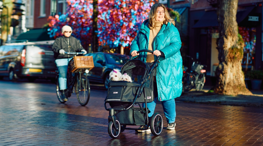 Best Dog Strollers & Prams for your Breed in the UK 2025