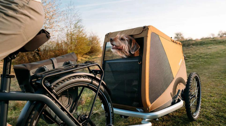 7 Best Dog Bike Trailers 2025 compared, cycle with your best buddy anywhere!