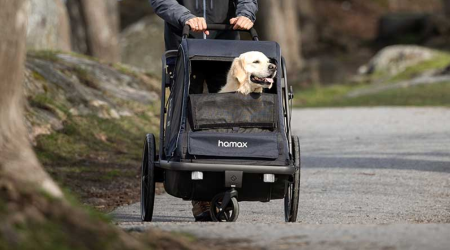 quid travel stroller Inglesina Quid³ with One-Hand Fold, 0–55 lbs | Astral Blue The Shoei RF-1400 might While it excels in no_hubbox Model:CJ-S-701MHa