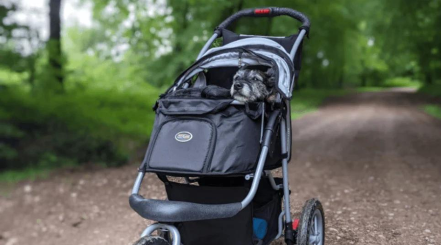 maxi cosi neck support Maxi-Cosi Tanza Belt-Positioning Booster Car Seat Sea Shadow From Maxi Color:Boodreaux Bugaboo - Changing Bag, شنط لاب توب