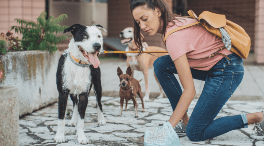 Trusted Housesitters UK Home Owners Guide