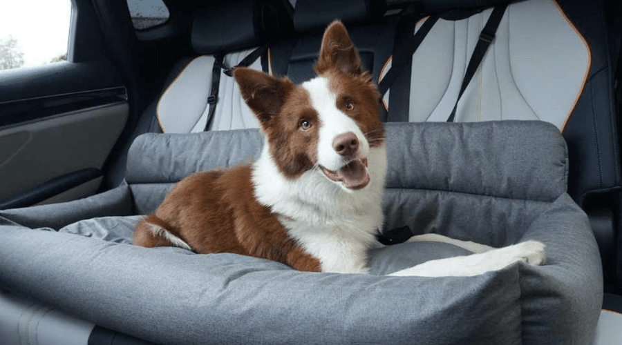 Isofix dog car seat review