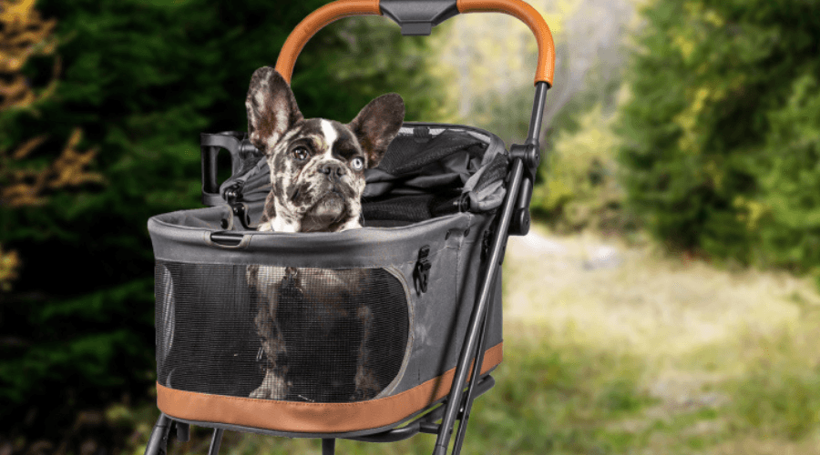 maxi cosi car seat convertible Maxi Cosi Pria Chill All-in-One Convertible Car Seat