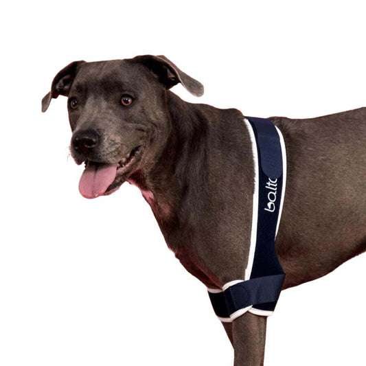Balto Soft elbow brace for pets supporting arthritis, elbow dysplasia, adjustable with breathable fabric and compression features