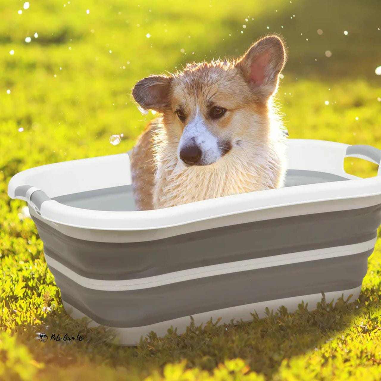 Beberoad Beberoad | B1 | 2-in-1 Pet Bathtub Beberoad 2-in-1 Mobile Pet Bath Portable Grooming for Pets