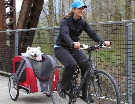 Dutch Dog Original DoggyRide Dog Bike Trailer by Dutch Dog - Red (incl. leash set) DRORTR09-RD Pets Own Us
