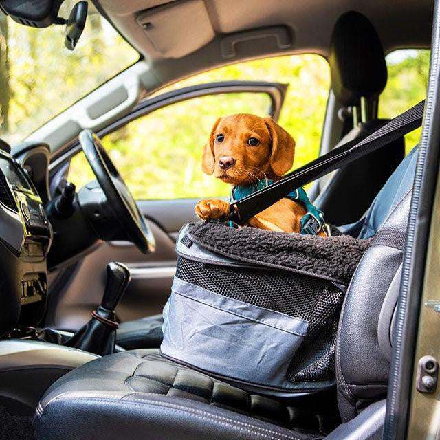 Henry Wag Dog Car Booster Seat secured in car with padded base and fleece liner for small dogs up to 8kg
