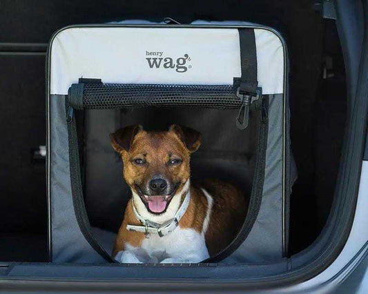 Henry Wag Folding Fabric travel pet crate with mesh panels and comfort pad