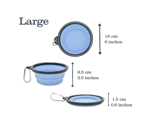 Henry Wag collapsible travel bowl for dogs, lightweight and portable pet feeder
