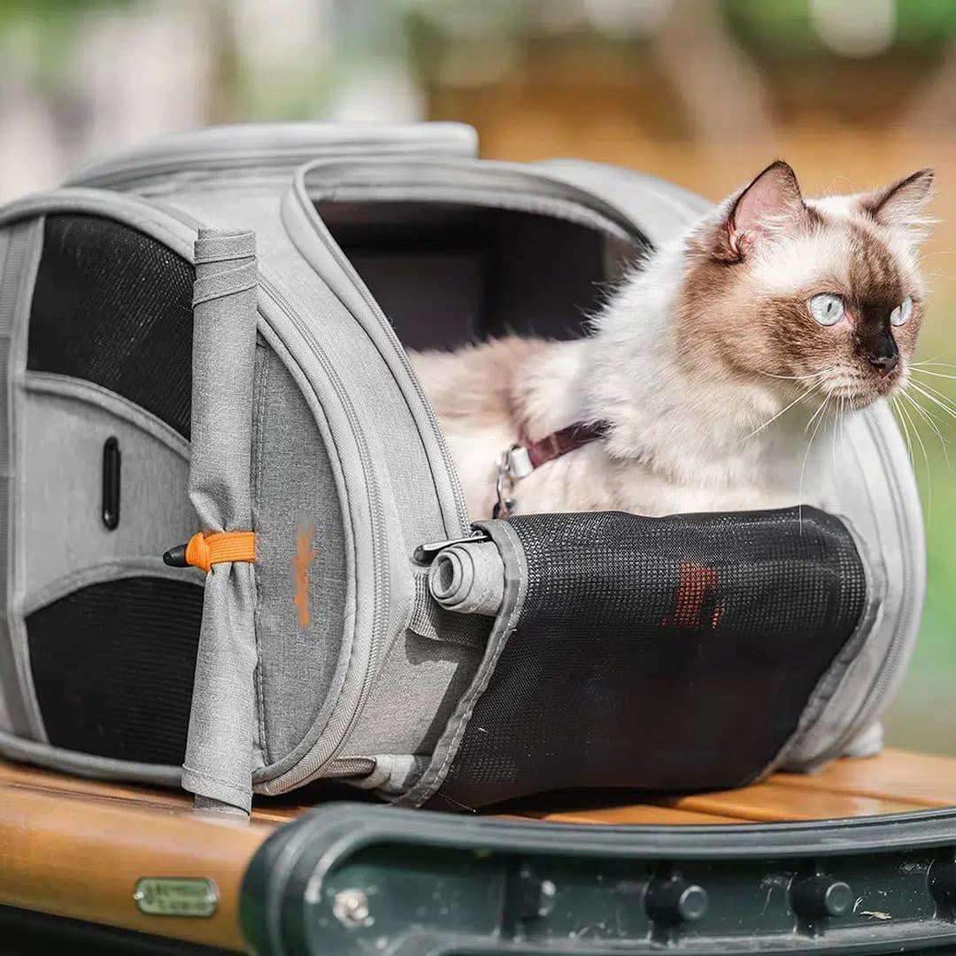 Ibiyaya Adventure Cat Backpack carrier with scratch-resistant fabric and ventilation, airline-approved for travel with cats