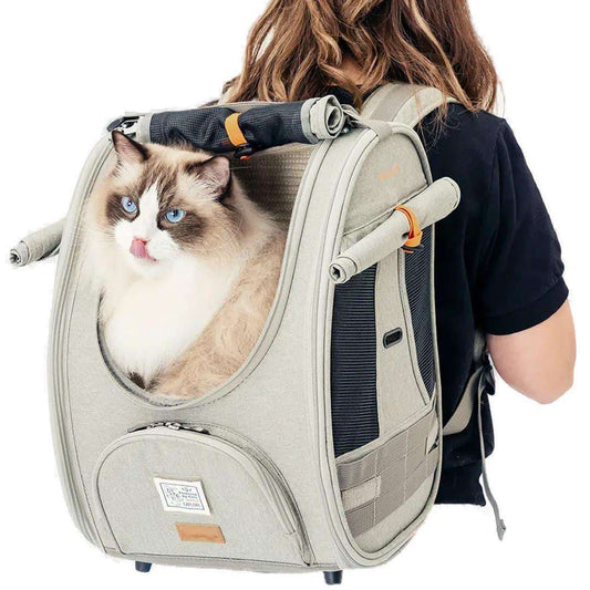 Ibiyaya Adventure Cat Backpack carrier with scratch-resistant fabric and ventilation, airline-approved for comfortable pet travel
