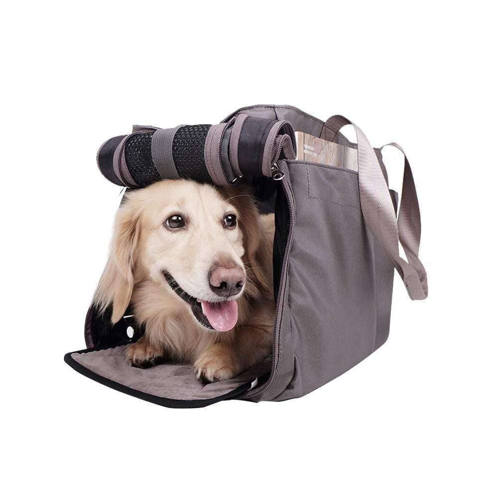 Ibiyaya Canvas Pet Tote Bag for small dogs and cats in two colors