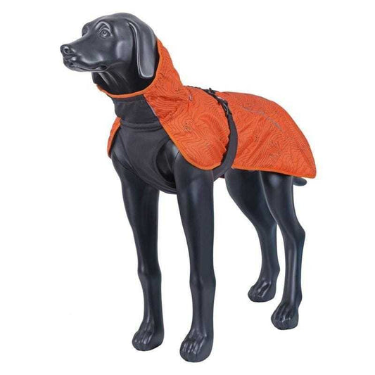 Icepeak Delle Winter Coat sizing guide for dogs, showing size options XS to XL with measurement details