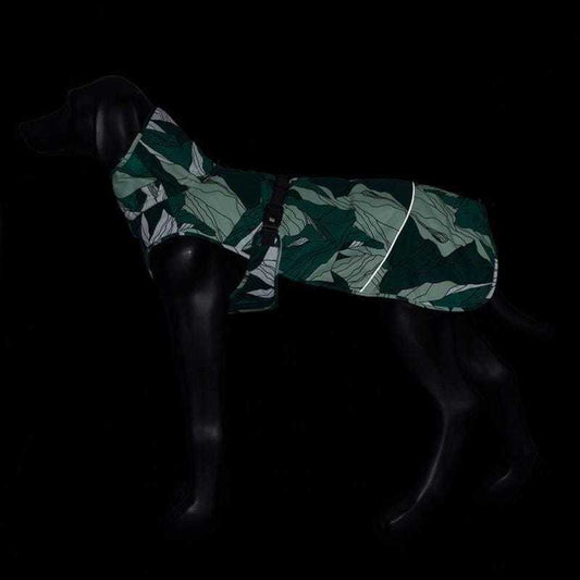 Icepeak Northlander Coat in emerald green with adjustable fit for active dogs