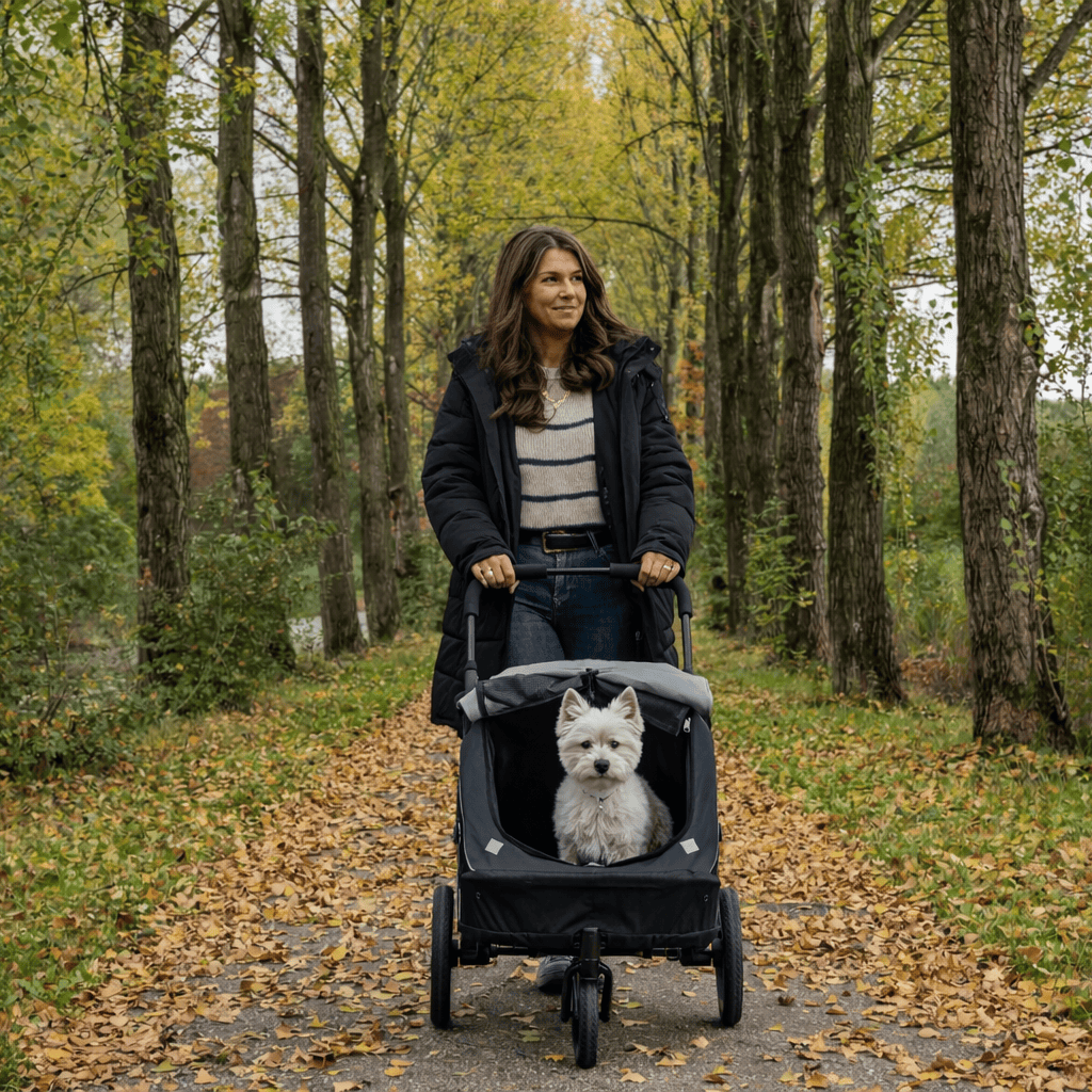Innopet Noah Pet Stroller in two colors for small to medium pets, lightweight and foldable with breathable mesh panels and adjustable handlebar