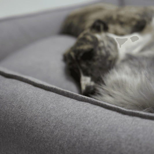 Labbvenn MØVIK Luxury High Side Dog Bed by Labbvenn in Grey Pets Own Us