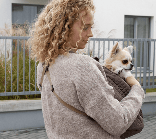 Muffin & Berry Front Carrier for Pets lightweight breathable pet carrier with adjustable straps and safety leash attachment