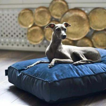Allure Pet Bed luxury navy blue pillow with golden accents and silicone filling for pet comfort