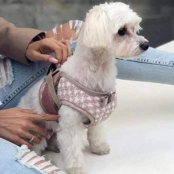 Oh Charlie Glamour Harnesses by Oh Charlie - 2 Colours Pets Own Us