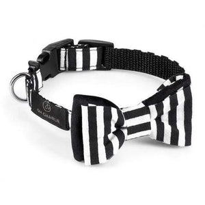 Oh Charlie Mooty Bowtie by Oh Charlie - Black & White Pets Own Us