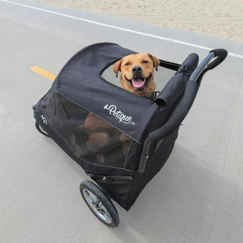 Petique Apollo Elite Pet & Dog Stroller | Bike Trailer | Free Rain Cover & Pump PET-AP Pets Own Us