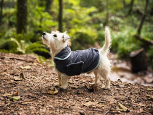 Henry Wag Microfibre Drying Coat in grey made from eco-friendly recycled polyester with ultra-absorbent fabric and adjustable belly strap for dogs