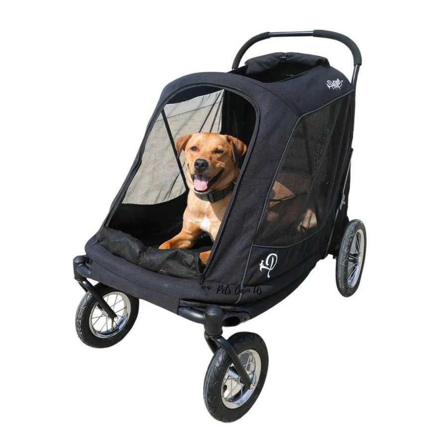 Dog looking out of a Petique Apollo Elite large dog stroller