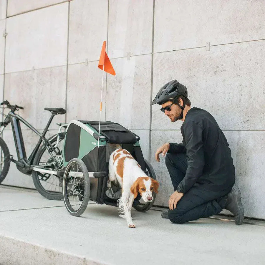 Cyclist with his dog stepping out of a Thule Bexey dog bike trailer