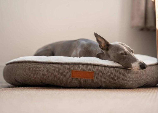 Ralph & Co Tweed Calming Donut Dog Bed Lincoln with herringbone tweed and faux rabbit fur lining for dog comfort and anxiety relief