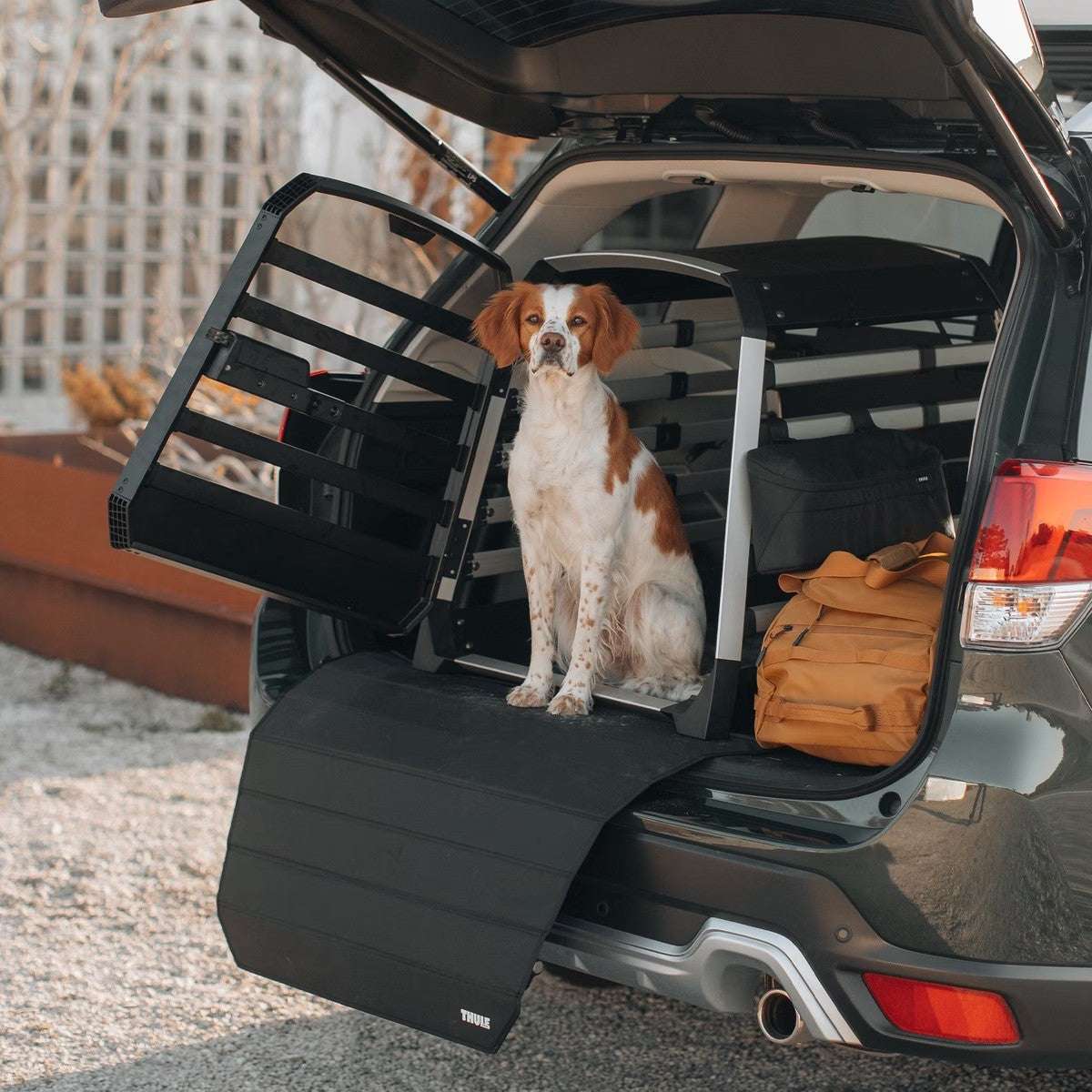 Thule Dog Crate Accessories Thule Dog Crate Storage Bag | Crate Organiser with Pockets | Black | Allax Compatible Thule Dog Crate Storage Bag | Crate Organiser with Pockets | Black