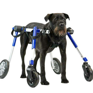 Full Support Wheelchair for medium dogs, adjustable, durable aluminum frame, all-terrain foam wheels, supports dogs 50-69 lbs