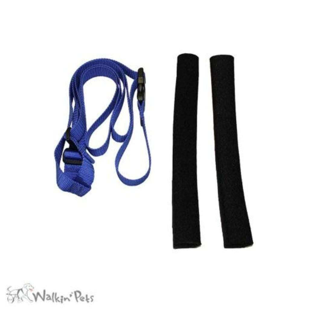 Dog wearing Walkin’ Rear Support Leash for hind leg support and mobility assistance