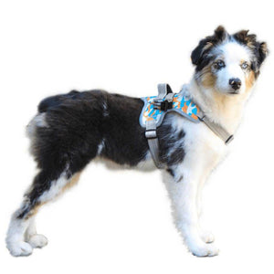 Walkin’ Warrior Front Harness for dogs with adjustable straps, padded handle, and reflective nylon webbing in camouflage colors
