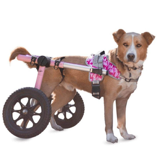 Walkin’ Warrior Front Harness for dogs, adjustable, padded, camouflage colors, wheelchair compatible