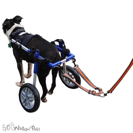 The Walkin’ Wheelchair Leash is designed to fit the Walkin’ Wheels wheelchairs (except the MINI). It easily attaches to the back of your dogs wheelchair. It gives yoWheels4Dogs
