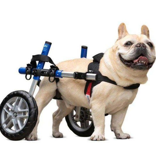 The Walkin Wheels Dog Wheelchair is fully adjustable, durable and lightweight. Give your pooch or pet a new beginning. A perfectly fitted body extension to explore, Wheels4Dogs