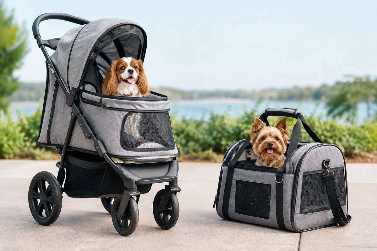 Dog Stroller Versus Carrier: Which Is Best?