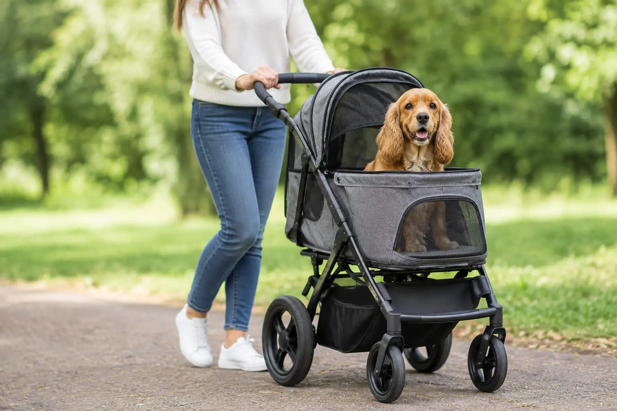 How to Acclimatise a Dog to a Pushchair