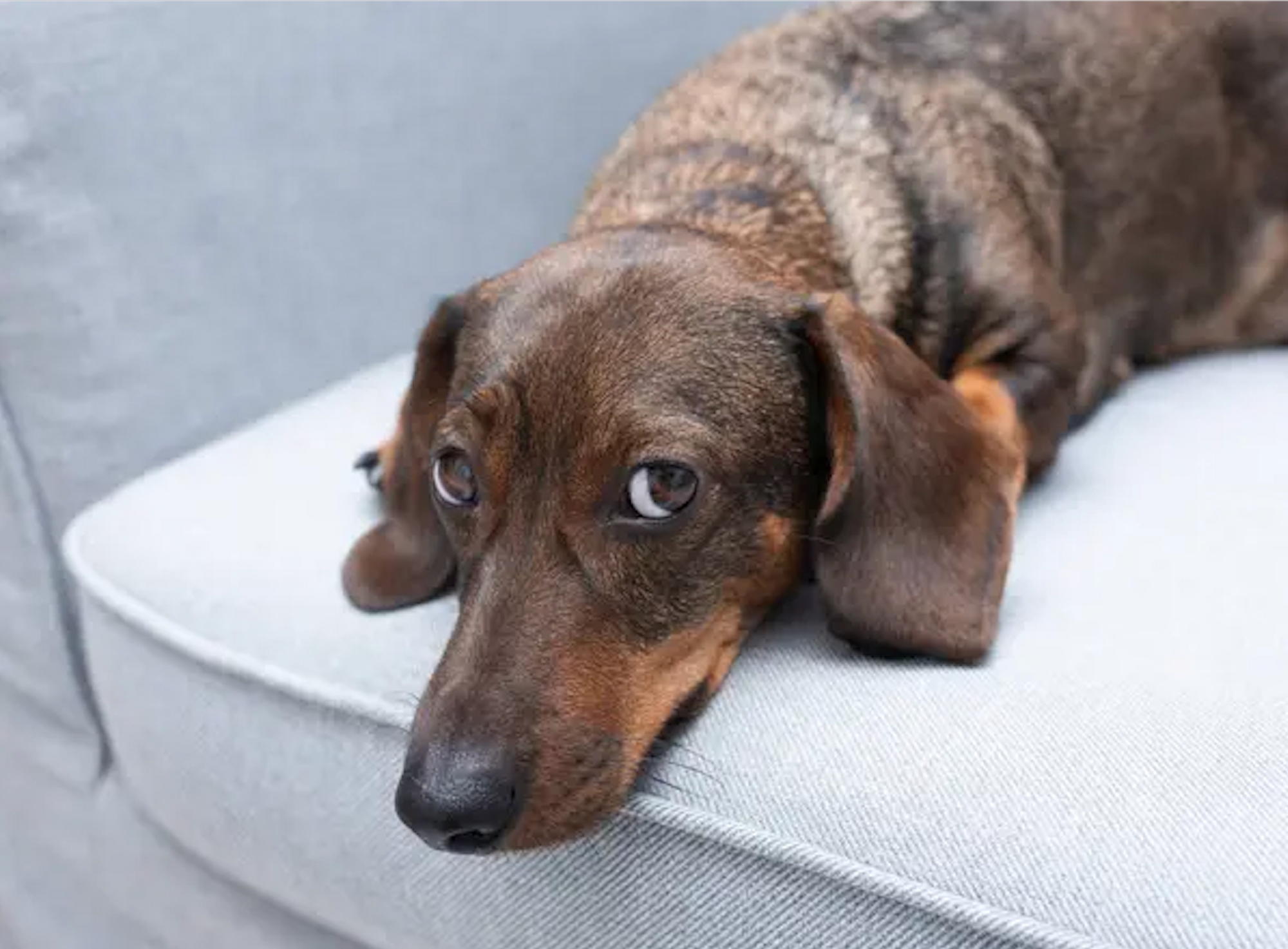 Charity Partnership: Suloti