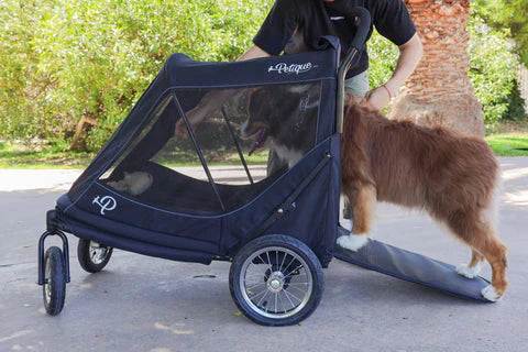 Best in Show: The Ultimate Pet Stroller Guide for 2026