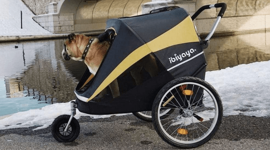 The Dog Pram for Large Dogs Guide