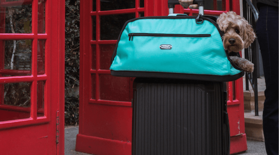 Sleepypod carriers now available in the UK