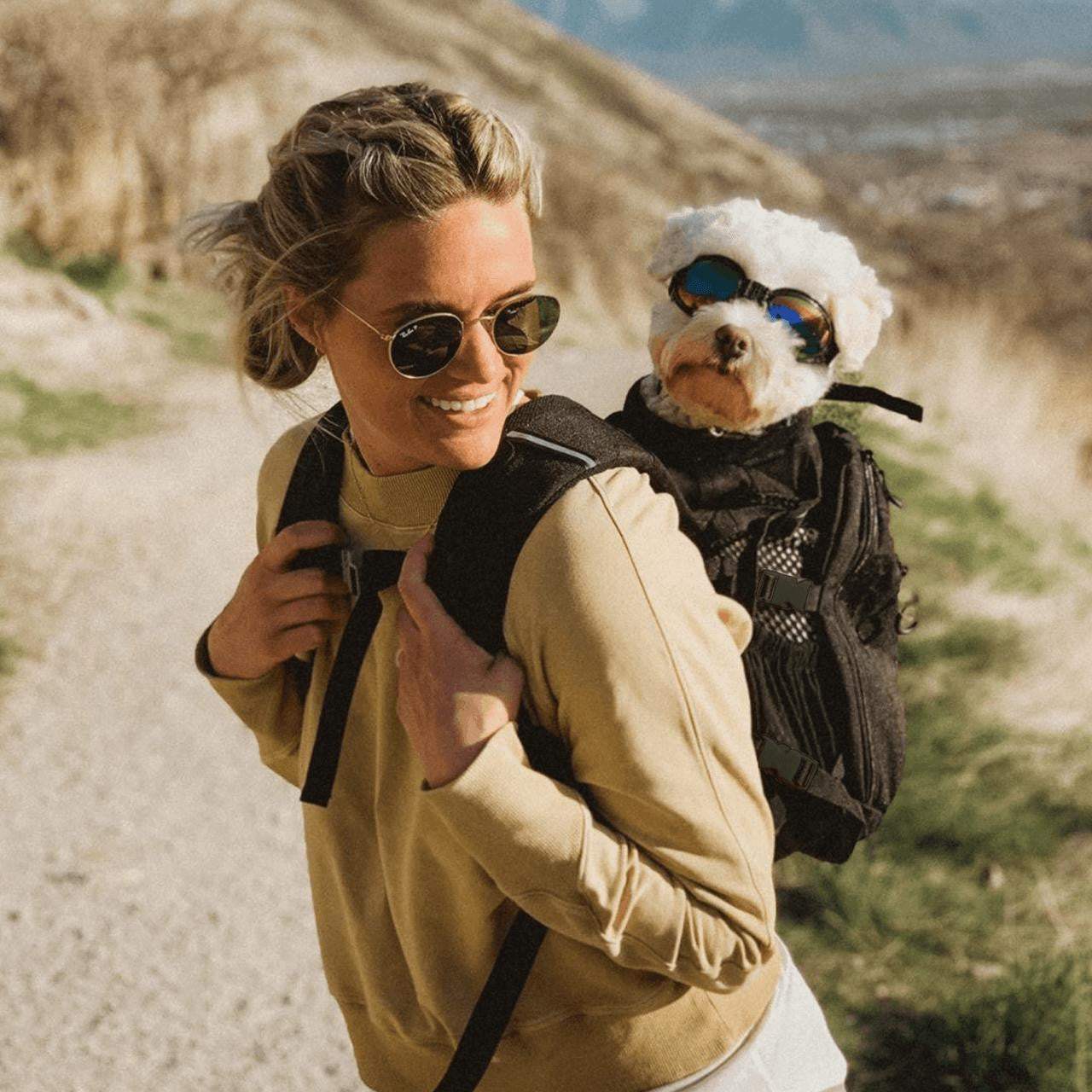 Carry On: The Complete Guide to Pet Carriers & Crates for Every Adventure